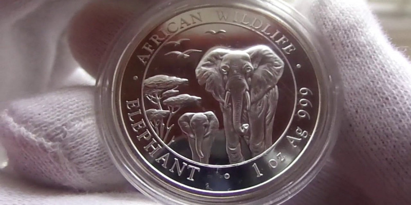 Инвестиционные монеты Сомали